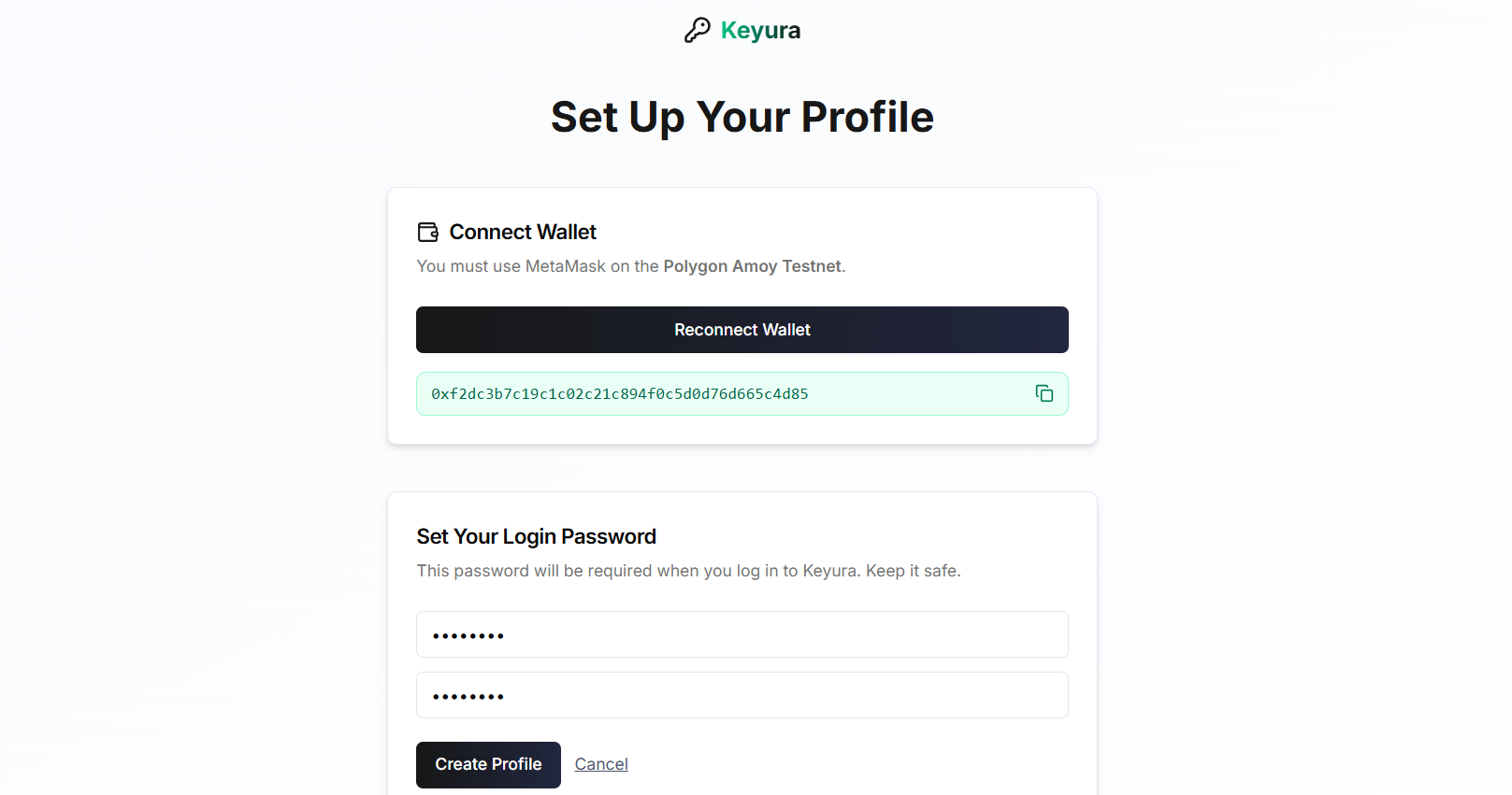 User Setup Process - Wallet connection and profile creation flow